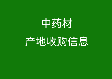 2月13日中药材收购信息